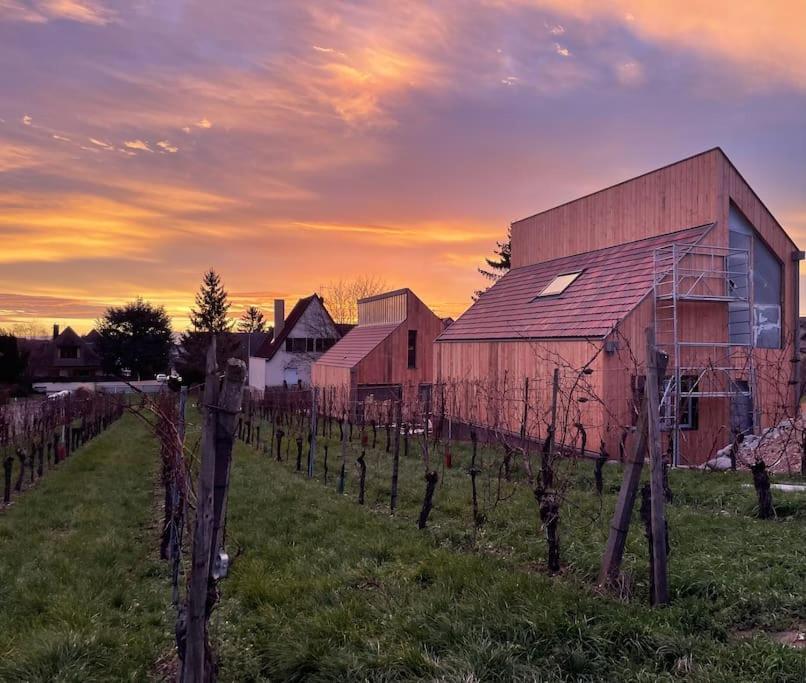 Le Cepage, Au Coeur Des Vignes. Villa Eguisheim Bagian luar foto