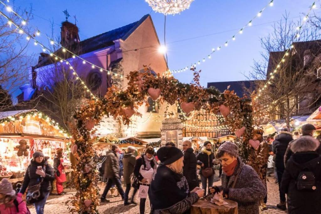 Le Cepage, Au Coeur Des Vignes. Villa Eguisheim Bagian luar foto